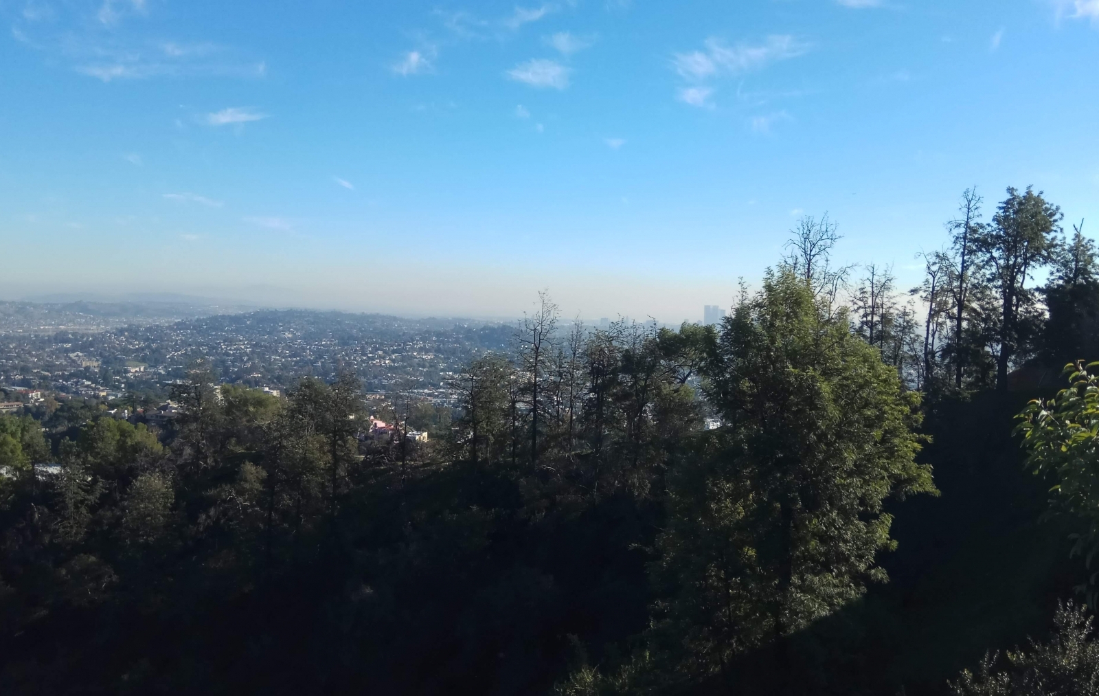Вид на Лос-Анджелес с площадки обсерватории Гриффита
